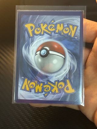Carta Pokémon Sera Entrenador Partidario 204/196
