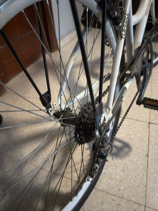 Bicicleta Paseo 26 Blanca Top bike