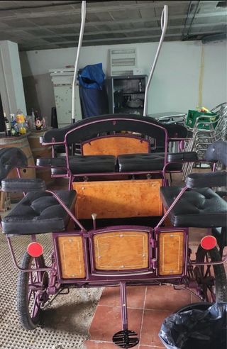 Jardinera / Coche de caballos para pony