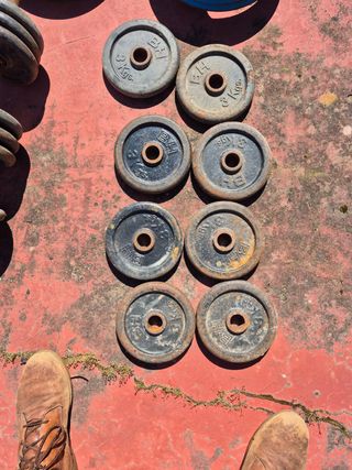 Pesas y discos culturismo
