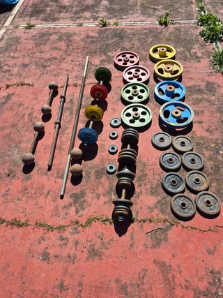 Pesas y discos culturismo