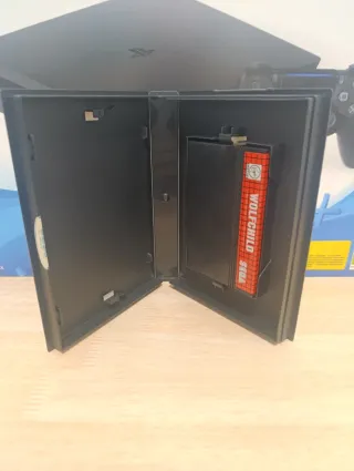 Sega Master System Wolfchild