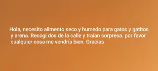 Comida y arena para gatos
