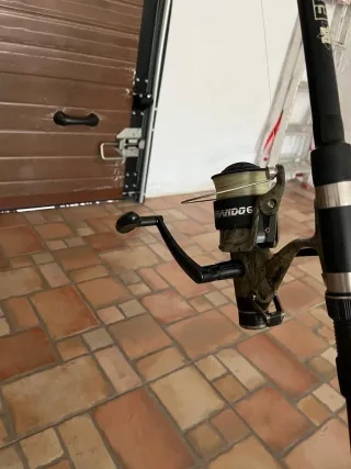 2 Canne da pesca per carpfishing con mulinello