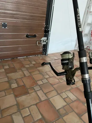 2 Canne da pesca per carpfishing con mulinello