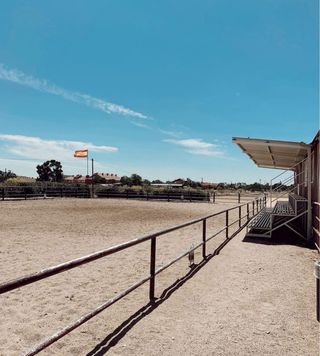 Se alquila boxes de caballos en Madrid
