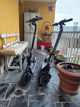 Patinetes Eléctricos Ninebot y Bongo