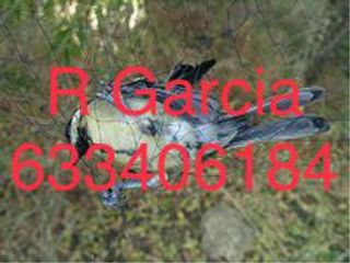 Redes japonesas profesionales