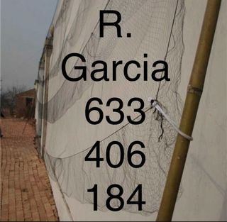 Redes japonesas profesionales