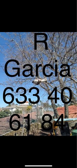 Redes japonesas profesionales