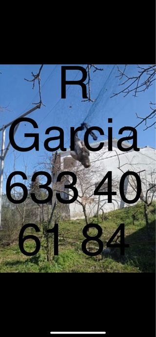 Redes japonesas profesionales