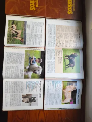 Enciclopedia Mis Amigos Los Perros