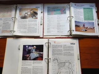 Enciclopedia Mis Amigos Los Perros