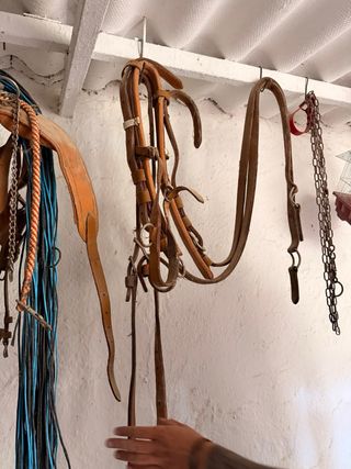Arreos de carro para poni