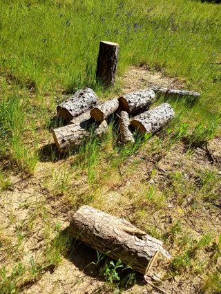 Leña de pino para chimenea o barbacoa