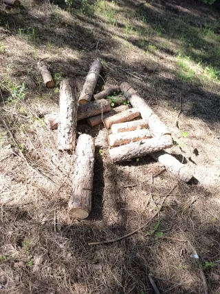 Leña de pino para chimenea o barbacoa