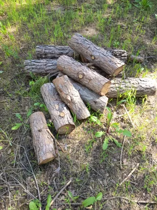 Leña de pino para chimenea o barbacoa