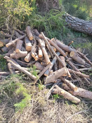 Leña de pino para chimenea o barbacoa