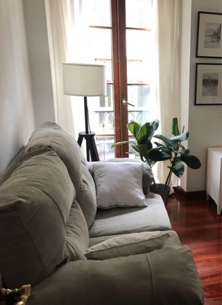 Sofá 2 plazas terciopelo gris desenfundable