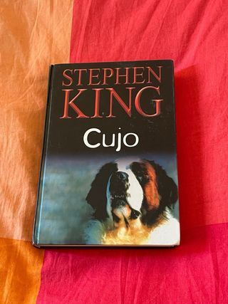 Lote libros Stephen King