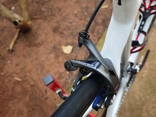 Bicicleta Cervélo R2 Shamal Mille o DT Swiss DCUT