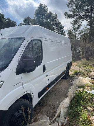 FIAT Ducato 2018