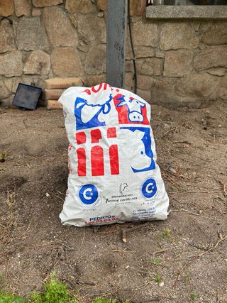 Piñas naturales para leña y barbacoa