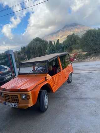 Citroen Mehari 1985