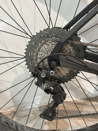 Orbea Alma M50