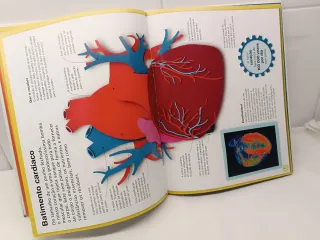 A Máquina do Corpo Humano (Portuguese Edition)