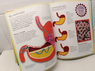 A Máquina do Corpo Humano (Portuguese Edition)