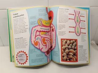 A Máquina do Corpo Humano (Portuguese Edition)