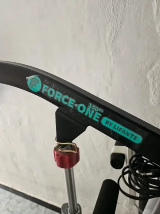 Grúa eléctrica Force 150Kg Lifante