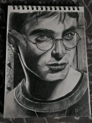Ritratto Harry Potter fatto a mano