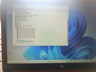 Portátil HP 250 G7 Intel Core i5 Gris