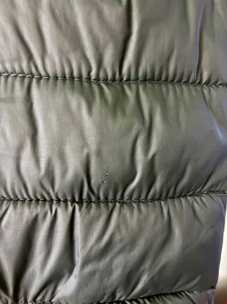 Cazadora Massimo Dutti verde