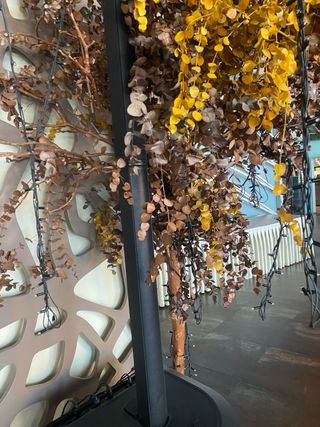 Bose L1 Sistema de Sonido