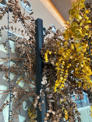 Bose L1 Sistema de Sonido