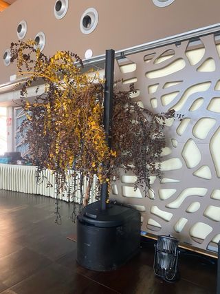 Bose L1 Sistema de Sonido