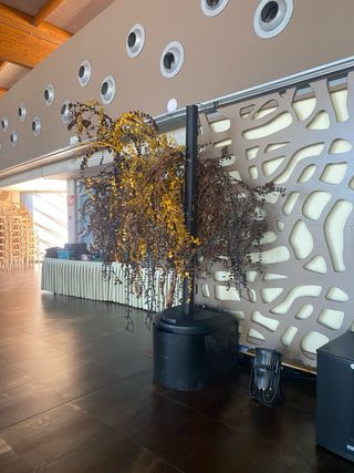 Bose L1 Sistema de Sonido