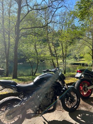 Yamaha MT-07 Pure A2 2024