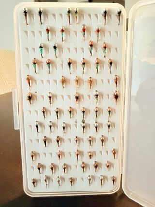 Caja de 65 perdigones