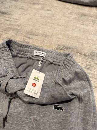 Tuta Lacoste Grigia Uomo/Donna