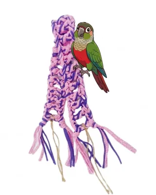 Pack para agapornis/pájaros/periquitos/loros