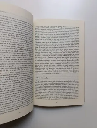 Diario de a bordo. Segundo, tercer y cuarto viaje.
