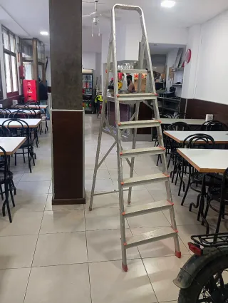 Escalera aluminio 6 peldaños Marca Escalibur