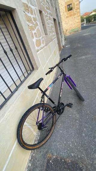 Bicicleta Morada y Negra