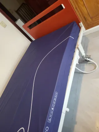 Cama articulada INVACARE
