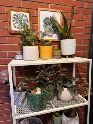 Estantería metálica para patio