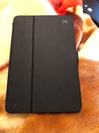 iPad mini 5ta Gen Plata